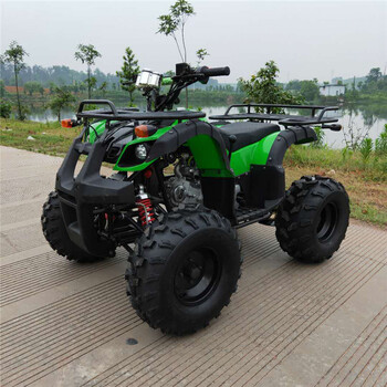 小型沙灘車125cc四輪車戶外游玩車