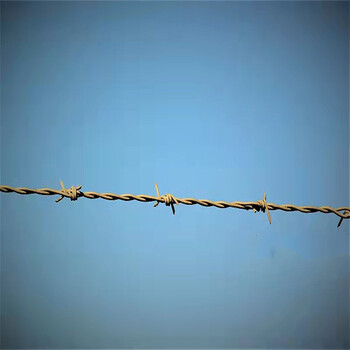河北镀锌刺绳厂家供应上海铁丝网围栏带刺铁丝网
