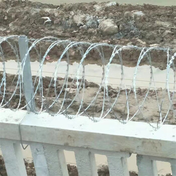 河北刺丝滚笼厂家供应机场围界安全防御网防护网