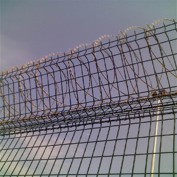 河北刺丝滚笼厂家供应温州边境防护网刺铁丝隔离栅
