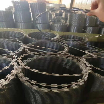 河北刺丝滚笼厂家供应宁波刺铁丝隔离栅钢网