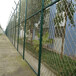 河北刺丝滚笼厂家供应边境防护网刺铁丝隔离栅