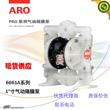美国ARO英格索兰酸碱气动隔膜泵6661A3-3EB-C