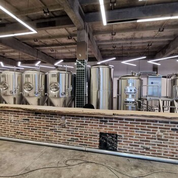 年产3000吨精酿啤酒厂精酿啤酒设备价格自酿啤酒设备