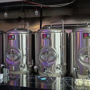 自产精酿啤酒设备原浆啤酒生产酿造设备