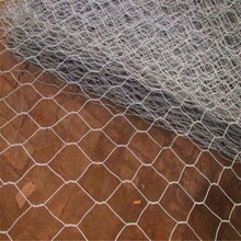 河北石笼网生产厂家生产郑州河道护坡雷诺护垫