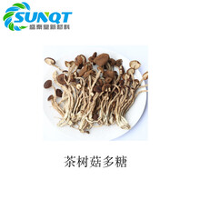 茶树菇提取物，茶树菇多糖10-30%茶树菇粉