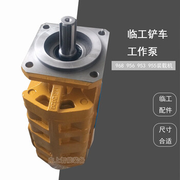 臨工裝載機雙聯(lián)泵LG956液壓齒輪泵955F953工作泵配件