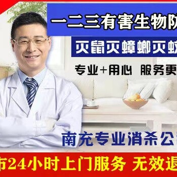 南充滅鼠攻略大全！從自制陷阱到消殺，電話預(yù)約立享優(yōu)惠