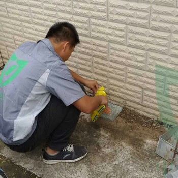 南充滅鼠救星！團(tuán)隊(duì)1小時(shí)響應(yīng)，附家庭滅鼠常用工具清單