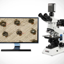 金相顯微鏡4K高清顯微鏡儀器設備視頻顯微鏡圖片