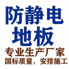 施耐德牌静电地板，施耐德防静电地板总代理