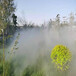 西华园林造雾系统品牌