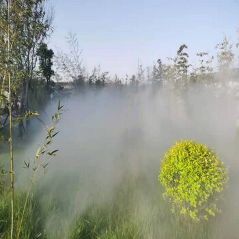辉县人工湖景观造雾智能型