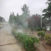 鄧州示范區造霧設備廠家