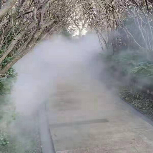 范县假山人工造雾设备价格