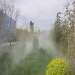 新蔡景观造雾设备价格图片0