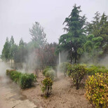 新蔡景观造雾设备价格图片2