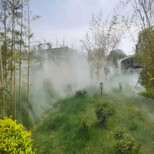 新蔡景观造雾设备价格图片3