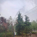 南京智能降塵霧樁方案