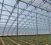 侯马半坡种植暖棚抗风抗雪结构稳定助力农业发展