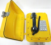 IP67防水防潮电话机，IP广播调度电话，隧道IP电话机