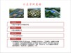 永平县代写不锈钢产业园概念规划设计