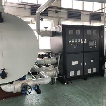 30kw導(dǎo)熱油鍋爐油式電加熱器電加熱導(dǎo)熱油爐歐能