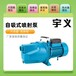 国标铸铁喷射泵手动全自动自吸泵高扬程增压家用220v抽水泵