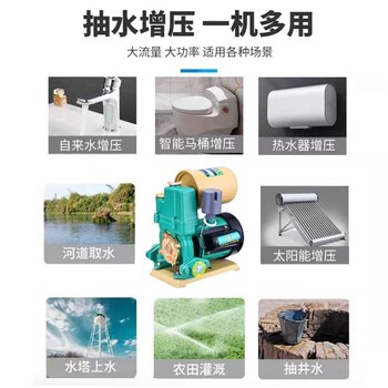 家用全自動自來水管道自吸泵太陽能燃氣熱水器冷熱水自吸增壓泵