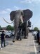 2022大型巡游推荐机械大象巡游出租巡游机械大象