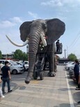 2022大型巡游机械大象出租巨型机械大象租赁机械大象出租图片4