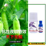 茄子钻心虫杀虫剂抗性青虫小菜蛾农药厂家