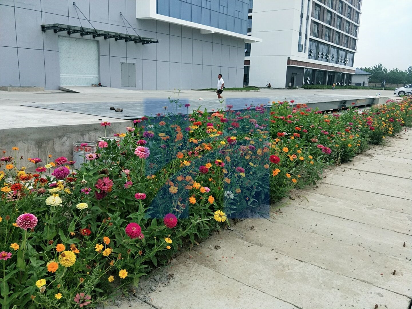 庆阳电子平台地磅秤