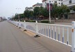 广东佛山锌钢道路护栏道路甲型护栏公路塑钢护栏交通安全栏杆