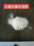 新疆大枣大量元素水溶肥防腐根生根壮苗20-20-20+TE氮磷钾平衡型图片1