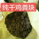 北京朝阳纯干鸡粪快65斤一袋晾晒干鸡粪无沙土干鸡粪块价格