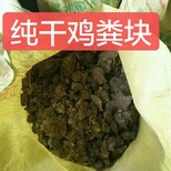 北京晾干鸡粪块玉米水稻通用肥水分10个不伤根不烧苗图片0