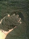 张家口NY525羊粪有机肥经济作物用肥抗倒伏、抗重茬