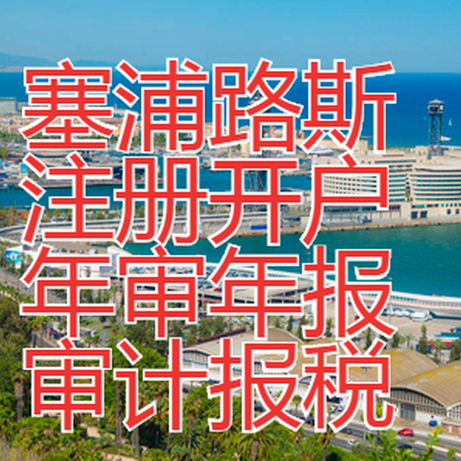 塞浦路斯公司的特点