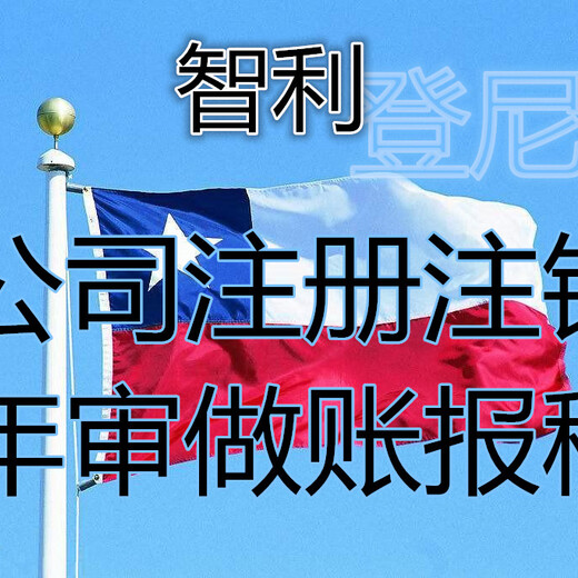 智利公司营业执照怎么办理，关于智利公司注册的情况说明