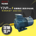 变频调速Y2VP225M-6-30kW马达380V螺杆压缩机用电机ZODA中达电机