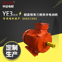 供应YE3-280S-4-75kW替换原YE2系列配套赛莱默泵异步电机中达电机
