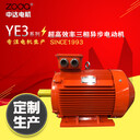 中達(dá)電機(jī)供應(yīng)YE4/YE3-280M2-6-75KW電動(dòng)機(jī)替換YE2/Y2馬達(dá)無錫ZODA