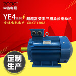 销售YE4/YE3-355M2-4-250KW率电动机415V三相异步电动机