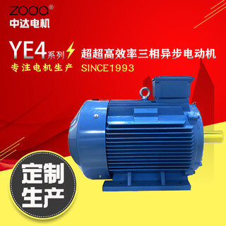 异步电动机YE3-180LX-2-37KW380V立卧式驱动电机替代YE2图片3