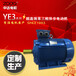 供应YE3-315L2-4-200KW节能电机415V特殊电压三相异步电动机
