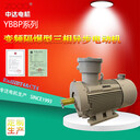 ZODA供應(yīng)YBX3-160M1-2WTHF1-11KW戶外濕熱型隔爆型電動(dòng)機(jī)