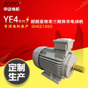 節(jié)能異步電動(dòng)機(jī)YE4-160M1-2-11KW臥式馬達(dá)GB18613-2020