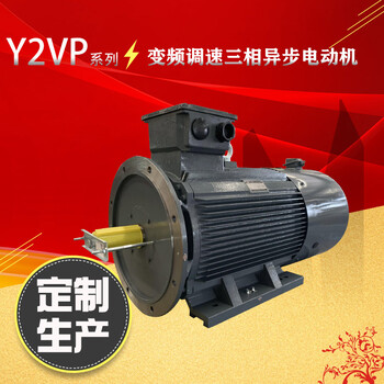 变频调速电动机Y2VP-200L1-6-18.5KW卧式马达400V电机